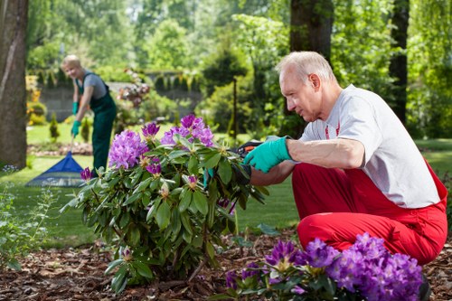 Sustainable rubbish gardening area with sorted materials and charity donations