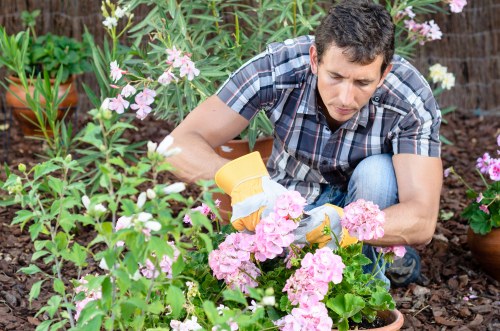 Gardener providing a written free quote at a suburban property in Belmont