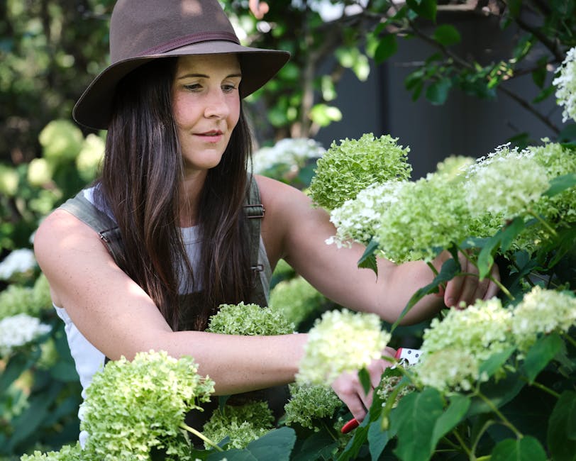 A woman with long dark hair wearing a wide-brimmed brown hat and a sleeveless top is performing garden maintenance in a lush outdoor space. She is carefully trimming or pruning a large, green hydrange