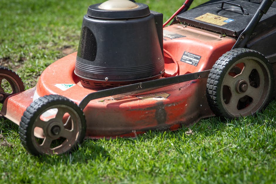 Close-up image of an orange petrol-powered rotary lawn mower with a black grass collection box on top, resting on a well-maintained green lawn. The mower's large rear wheels are visible, showing textu