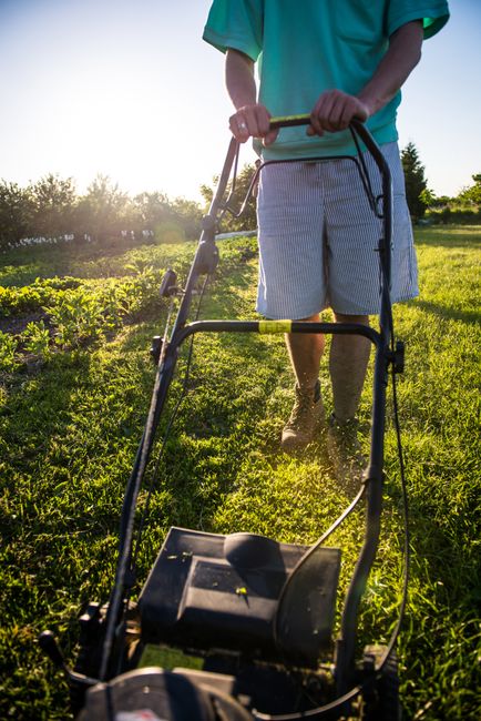 Close-up image of an orange petrol-powered rotary lawn mower with a black grass collection box on top, resting on a well-maintained green lawn. The mower's large rear wheels are visible, showing textu