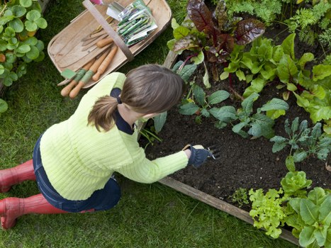 Enhanced garden landscape with trimmed hedges